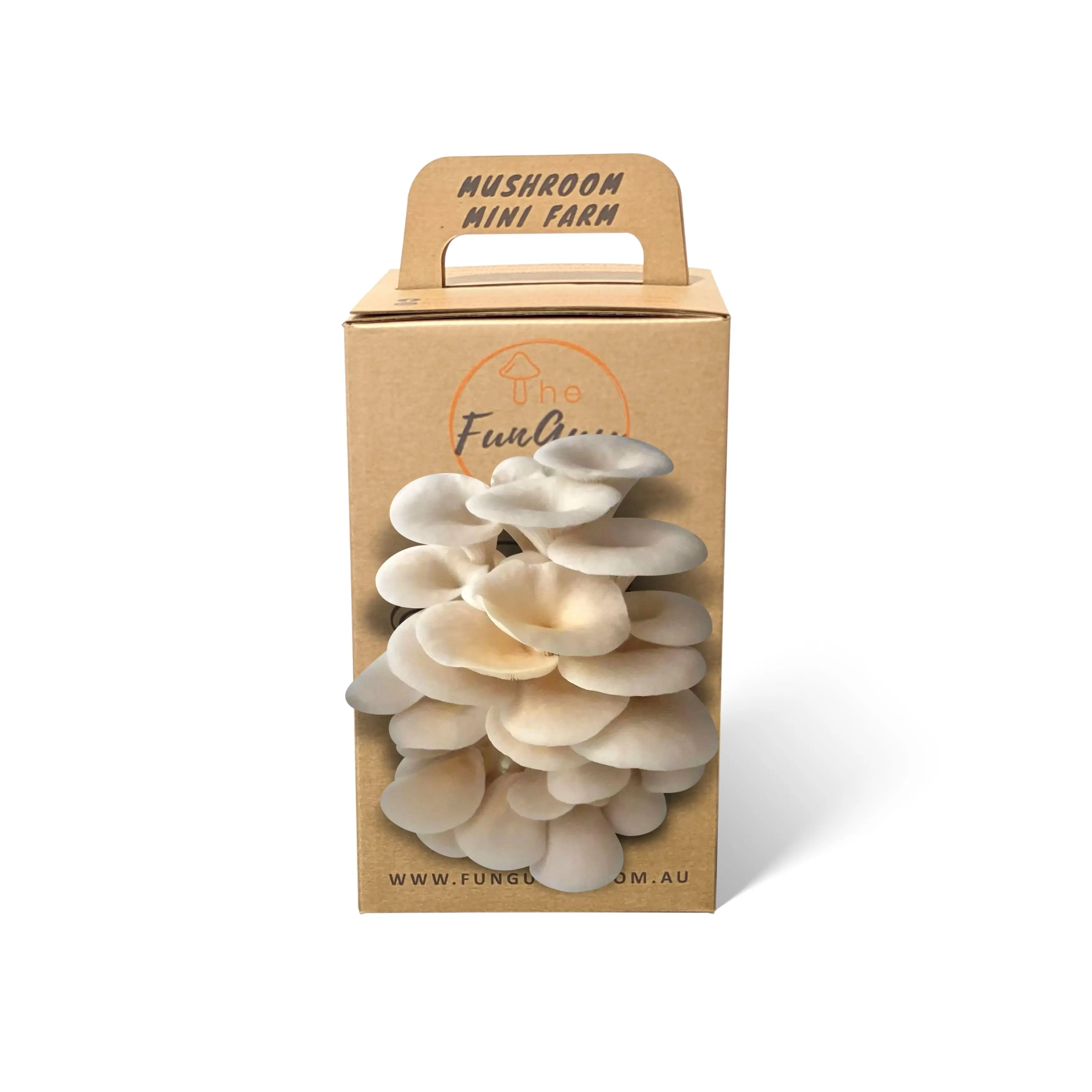 Custom Packaging Carton Toy Packaging Mushroom Grow Box Packaging For DIY Toy