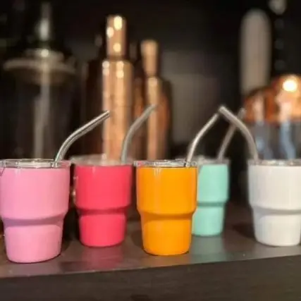 MAX APPAREL Metal Mini 2OZ Shot Glass Tumbler With Straw Lid