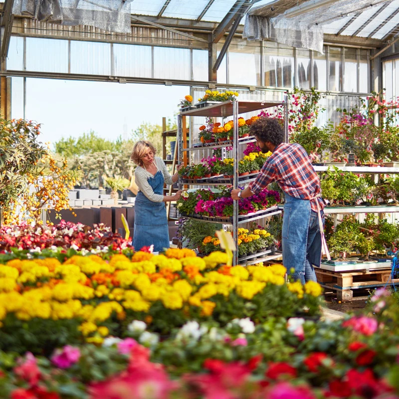 Heavy duty 4 shelves danish trolley pallet rack flower transportation nursery trolley cart