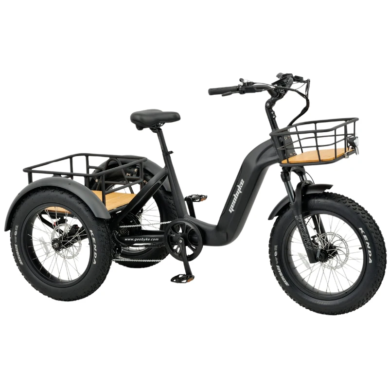 best quality 3 wheel electric tricycle 20 inch fat tire electric trike cargo electric bike electric pedicab