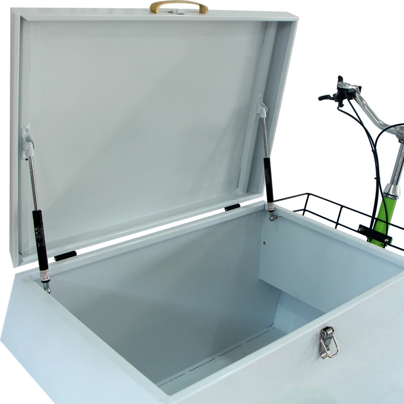 Express Cargo Bike 3 Wheel Cargo Trike China Manufacture