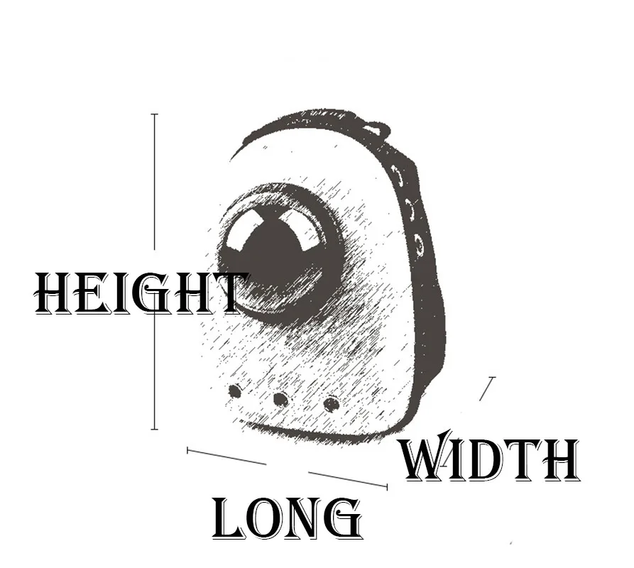 Xianchanpets Luxury Small Animal Travel Carrier Breathable Pet Carriers Dog and Cat Backpack