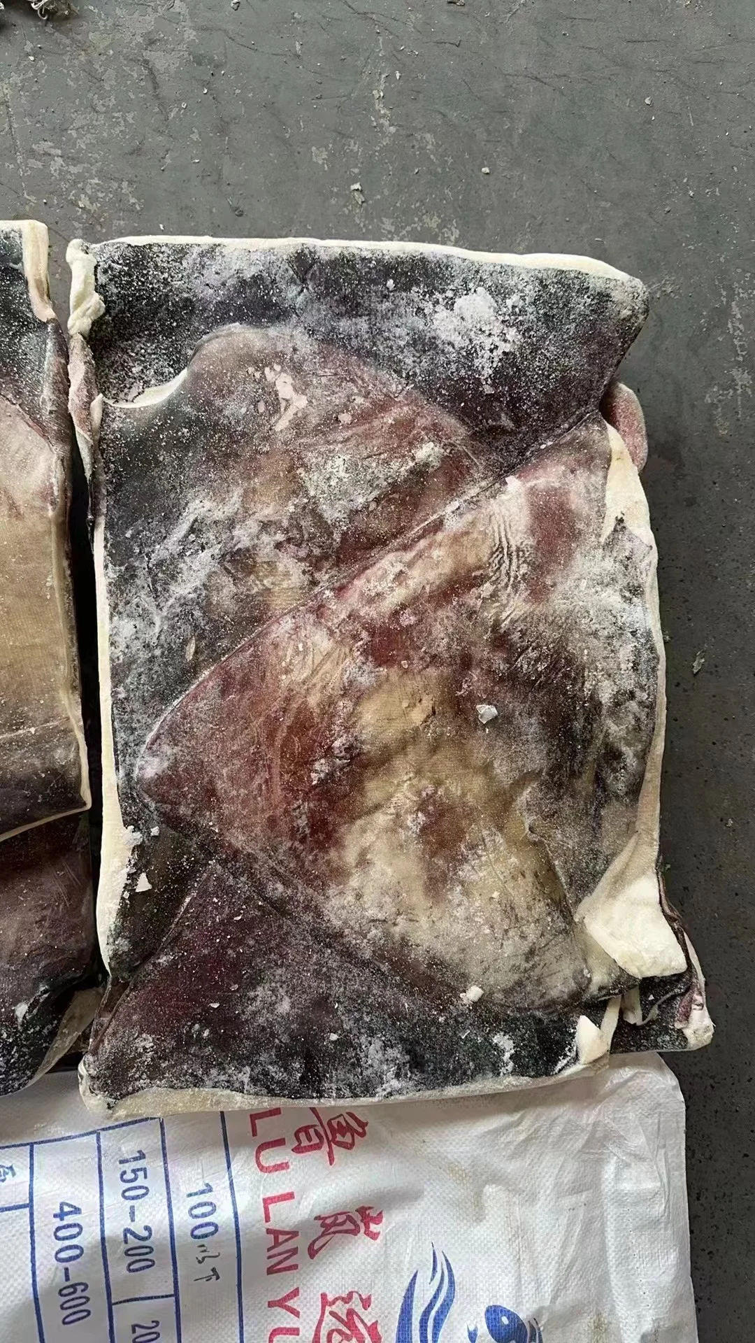 Frozen dosidicus gigas wings  Peru Squid wings with skin Giant squid wings skin on