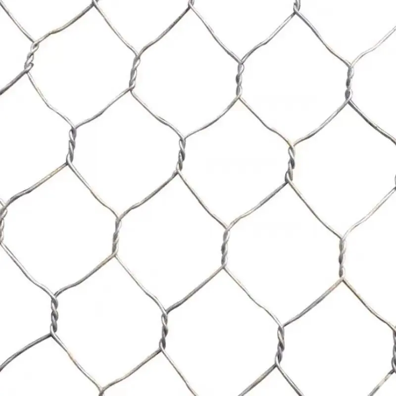 Best sale hot dipped galvanized netting pvc coated hexagonal wire mesh for chicken
