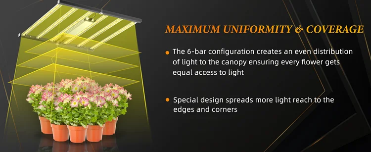 grow light(3)