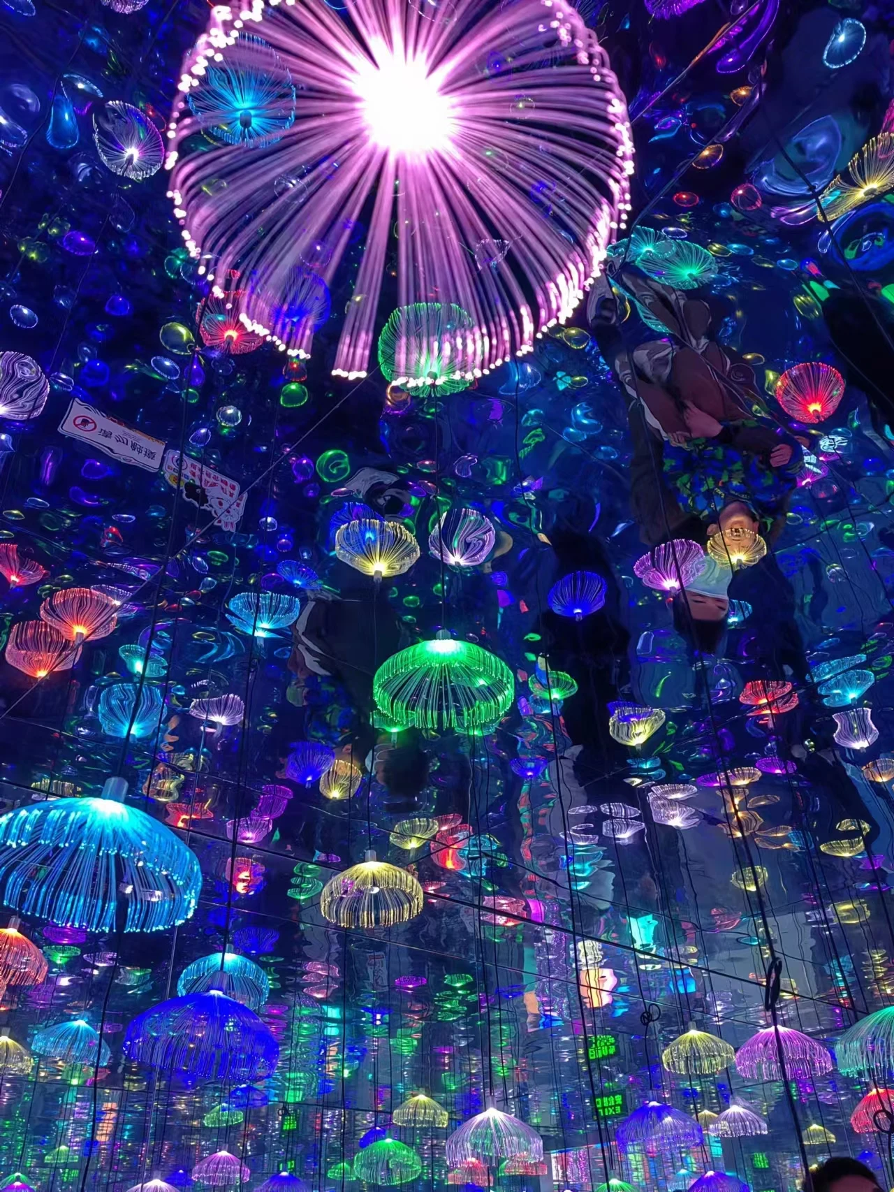 TXPOF Outdoor Decoration LED Fiber Optic Lights Long Life fiber optic light car kit end fitting