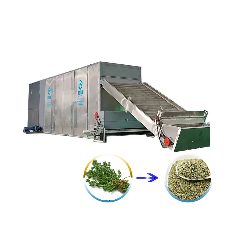 Factory price Betel Nut Box-type Belt Drying Machine Best selling mesh belt dryer Price Thyme Leaf Dryer For XC-MG Spare Parts