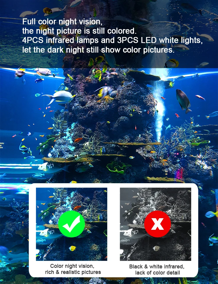 Barlus IP68 Freshwater camera underwater observation capture underwater action swimming pool aquarists available