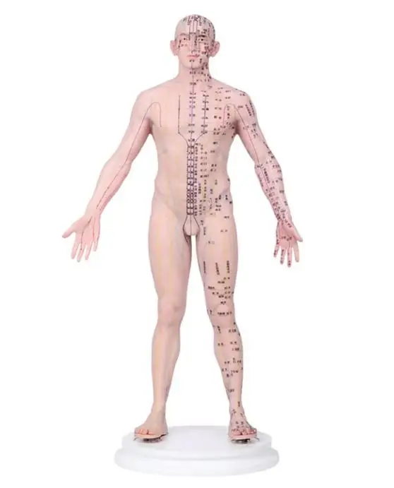 English Version18.9 inch Man  Acupuncture  Model (Multicolored Makeup) With 409 Acupoints  Human Model With Exact Merdians 1.6kg