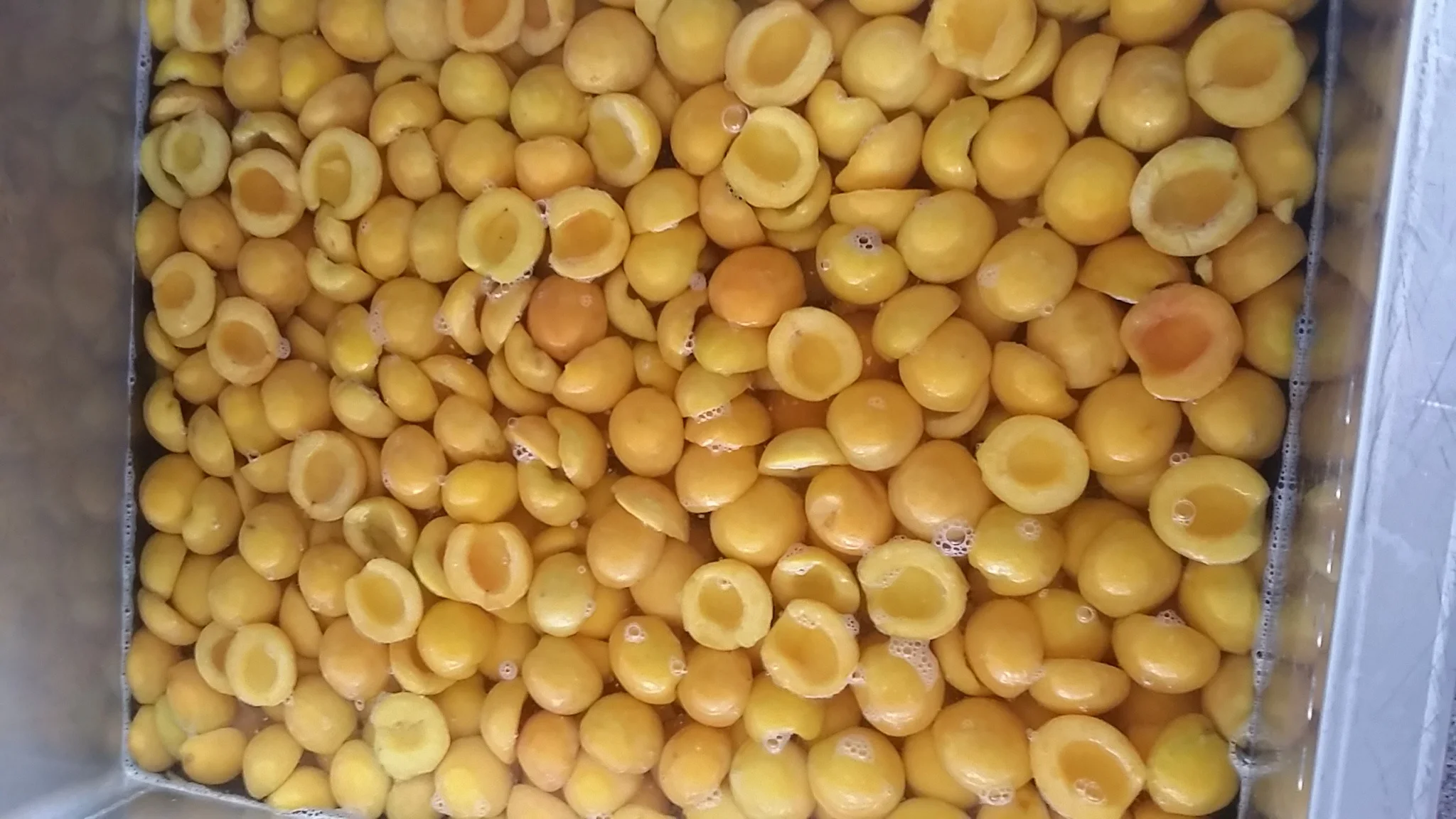 Canned yellow peaches