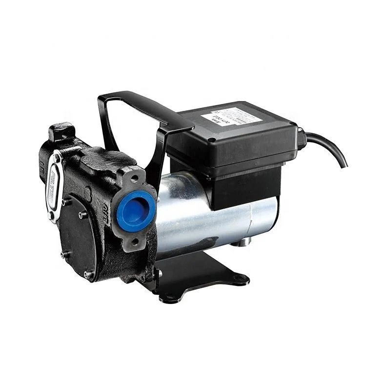 Fuel transfer pump 35LPM/70LPM Dual voltage diesel transfer pump 12V/24V