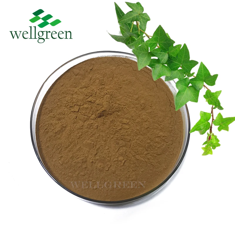 
100% Natural Ivy Leaf Extract Powder Bulk 10% Hederacoside C Ivy Leaf p.e. 