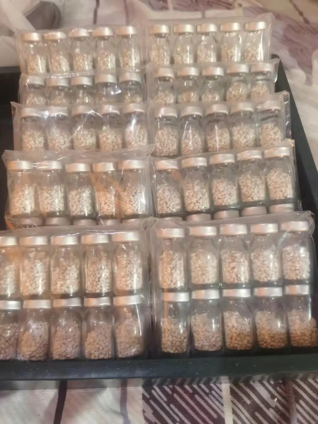 fish breeding CARP PITUITARY GLAND CPG