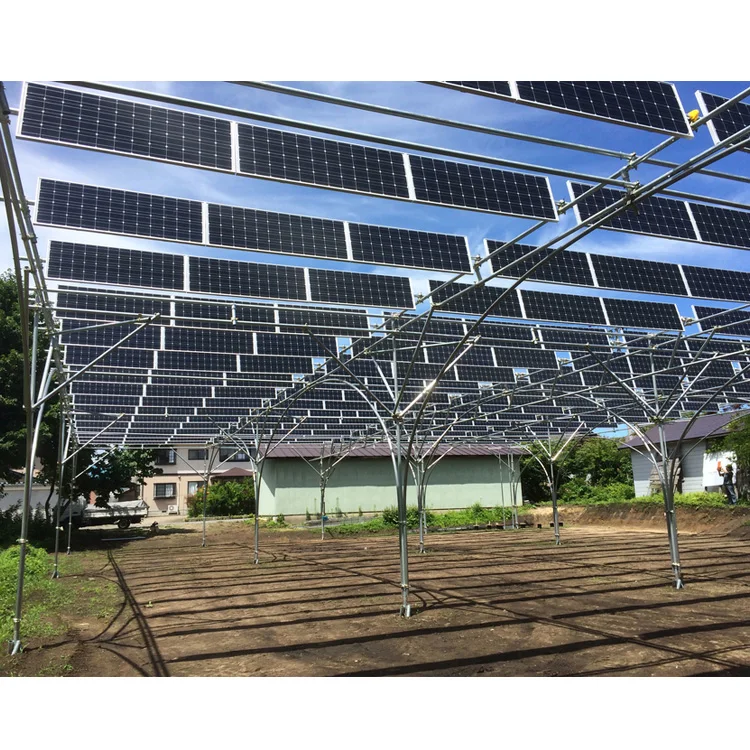 Industrial 50 Power 5Kw 1 Mw System 100 Kw 150Kw Solar Panel Agriculture Solar Farm