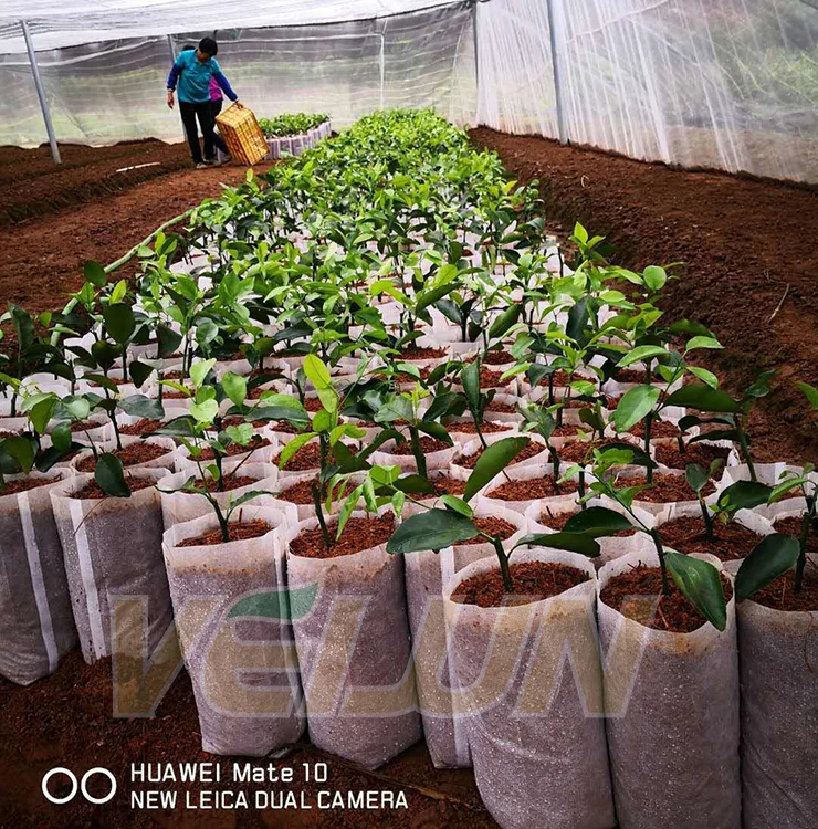 Biodegradable Non woven Fabrics Growing Plant Pot White Nursery Bag