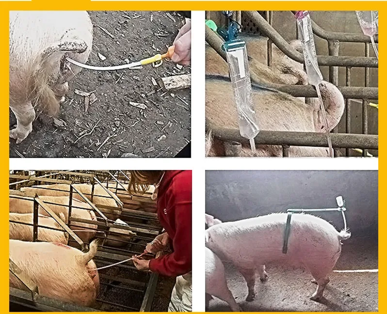 Breeding Pig Equipment Bottles Disposable Pig Infusion Bottle Veterinary Pig Semen Bottle For Storing Sperm
