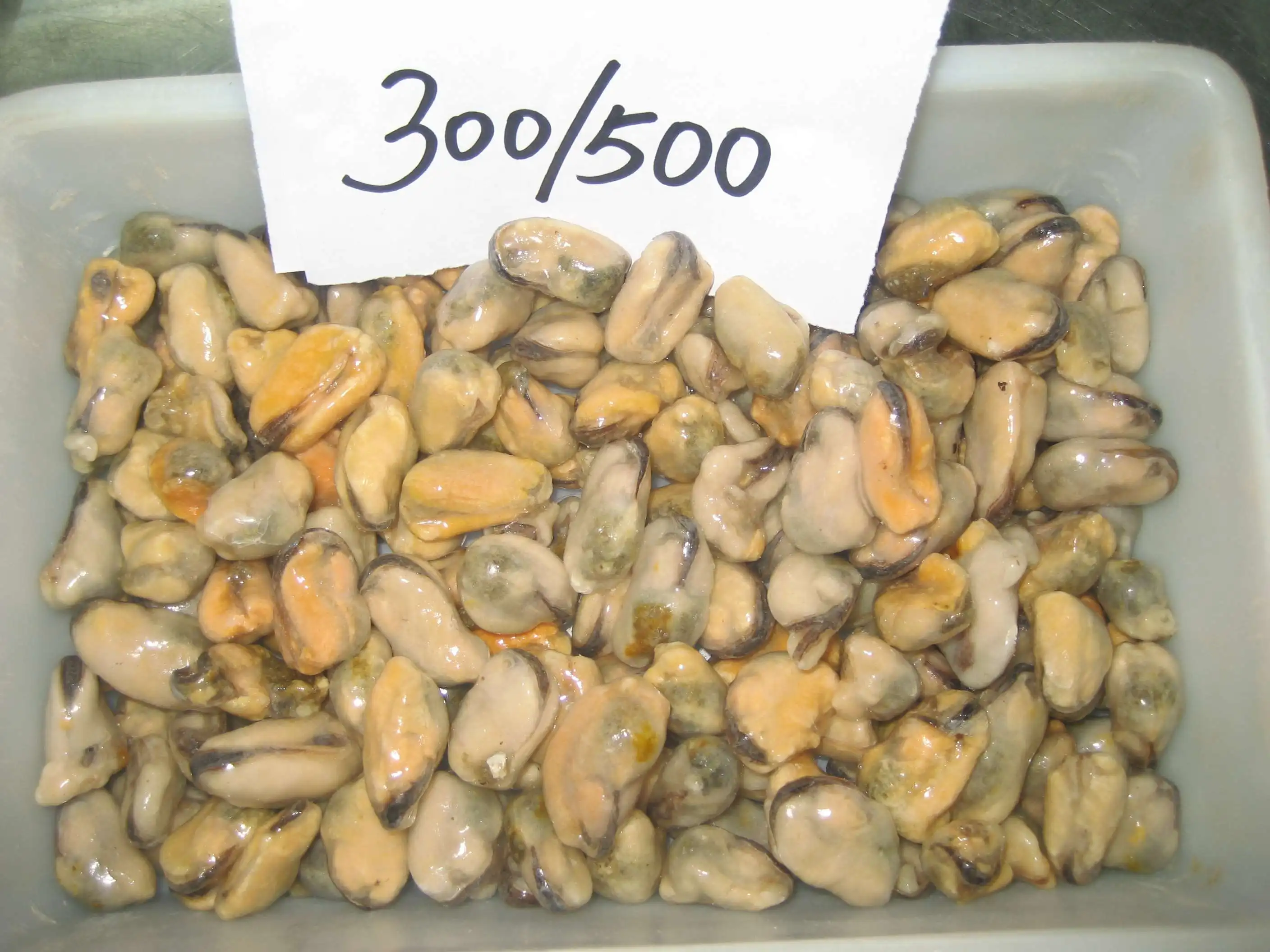 Cooked Mussel 300-500.jpg