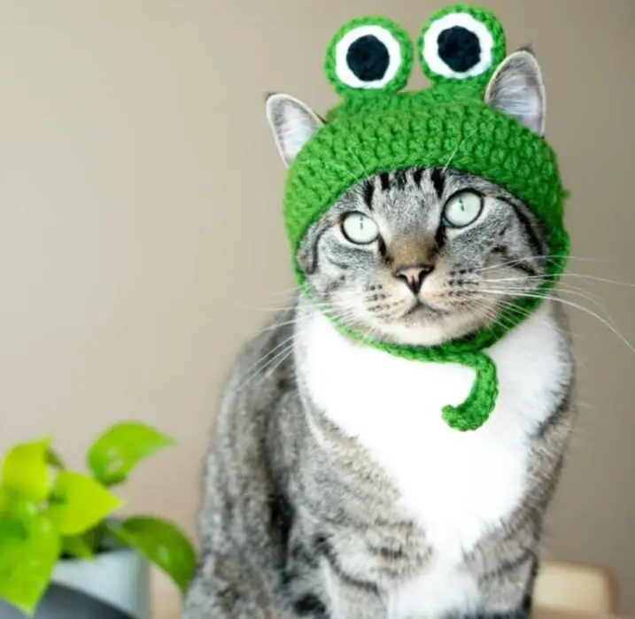 Factory Dog Cap Green Hot Sale Hand-knitted Frog Winter Crochet hat Cat Hat for Cute Dog Accessories of Small Dogs