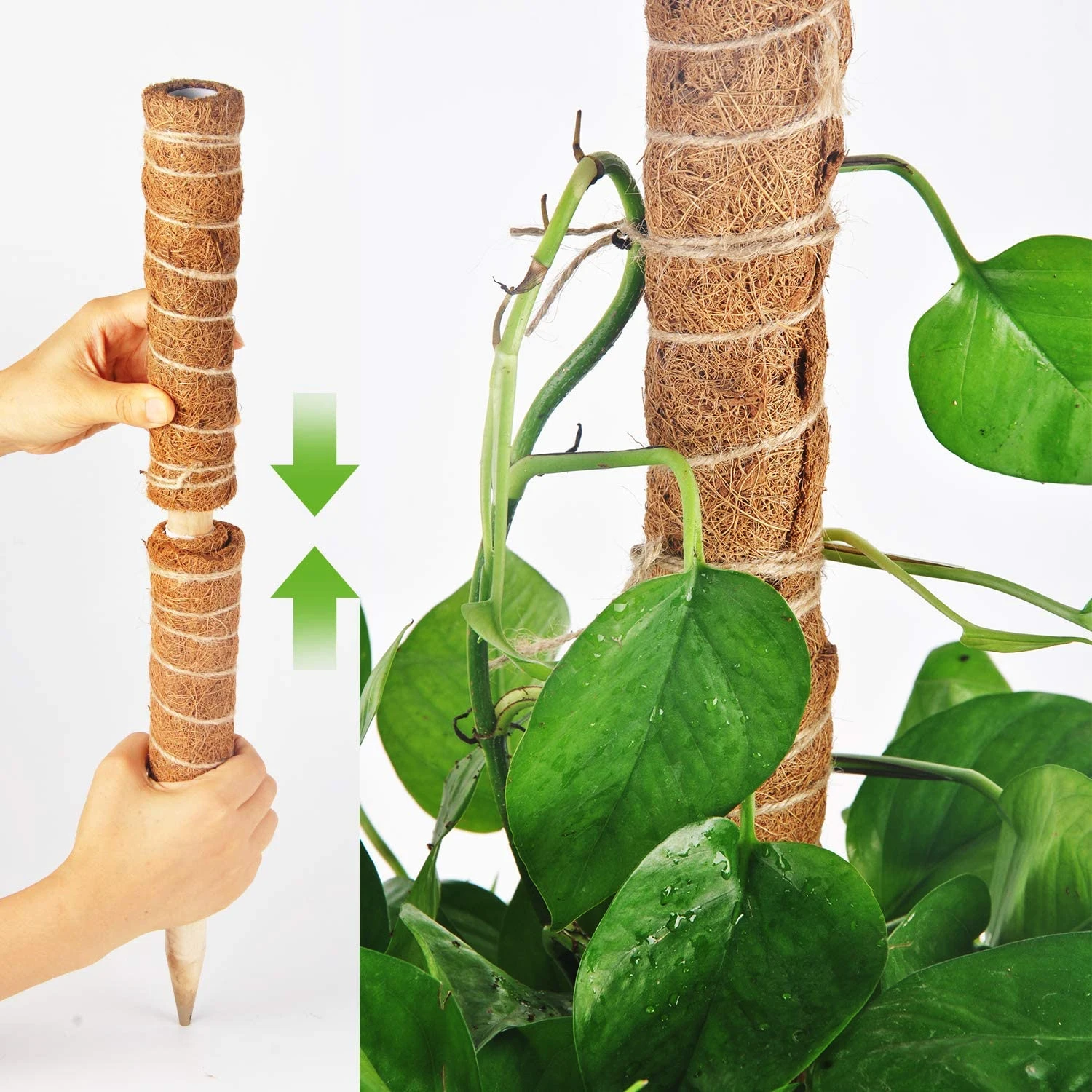 15inch/40cm Natural Colored Coco Fiber Pole Coir Poles Moss Pole Garden Indoor or Outdoor