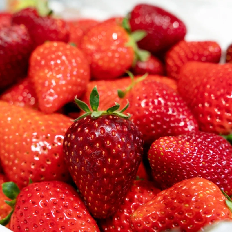 Dessert sweet fruity taste wholesale grow buy fresh strawberries for parfaits