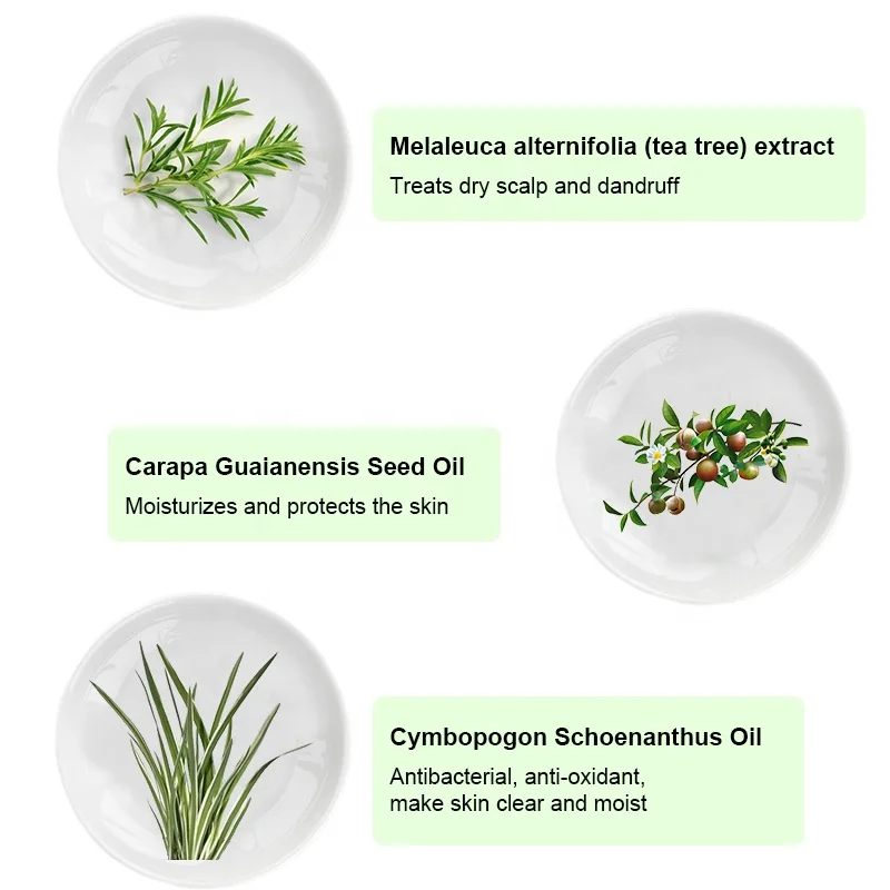 CAMAZ 500ml Sulfate Free Tea Tree Oil Hair Shampoo and Conditioner Set for Dry Damaged Hair and Scalp Care