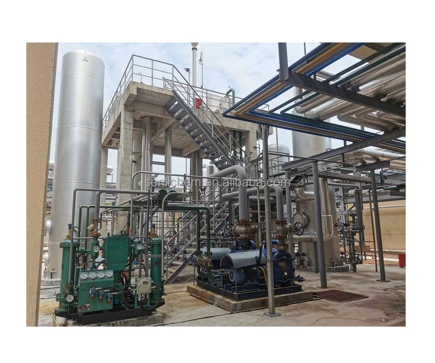 Gas Hydrogen Generator Production Equipment Engineering High-end Atmosphere Natural Long Service Life 0~2.5 Mpa Hot Product