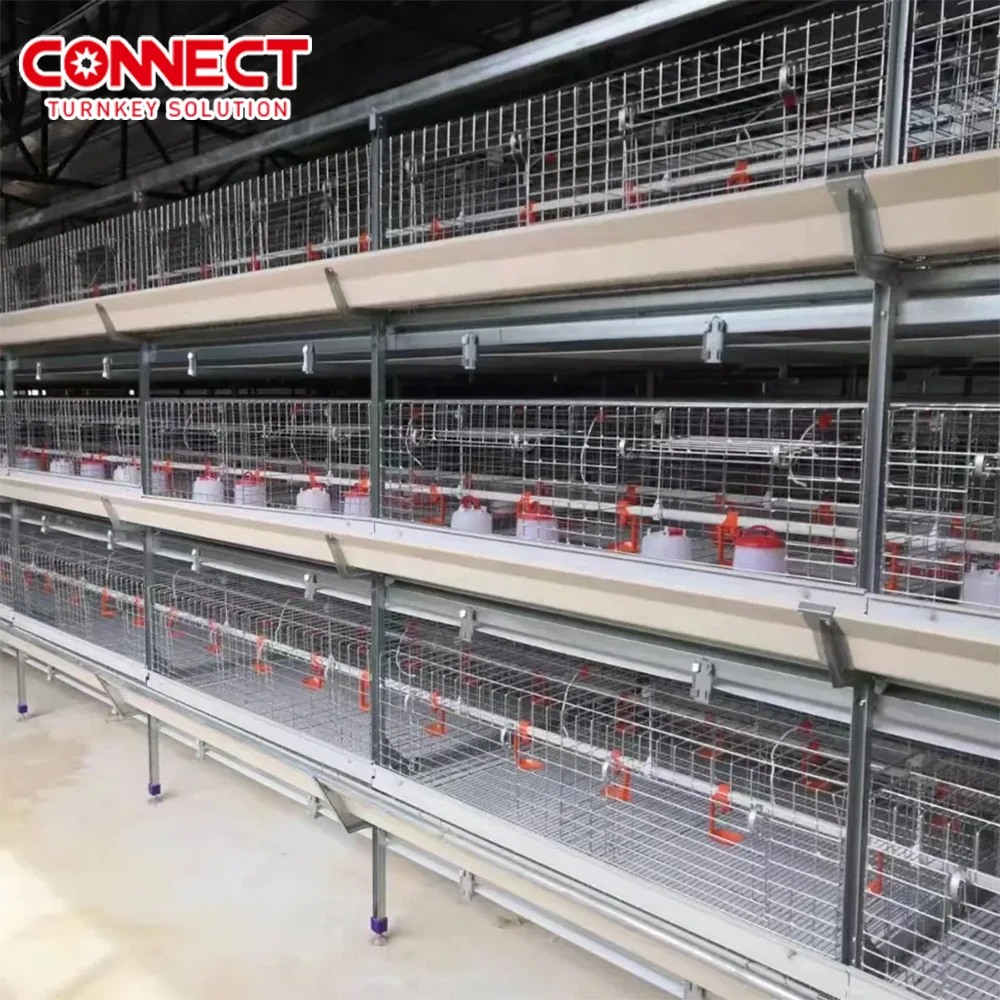 Complete Automatic Poultry Husbandry Equipment H Type Feeding House Manual Poultry Metal Broiler Raising Chicken Cage For Chicks