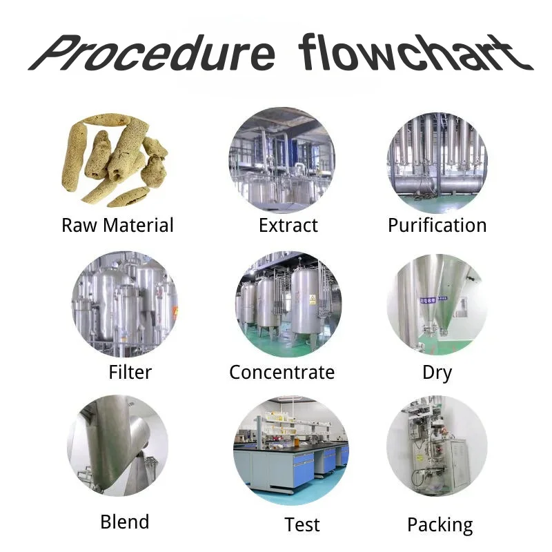 Procedure flowchart