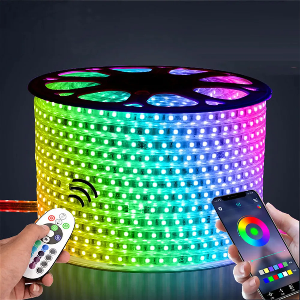 220V LED Strip Light Flexible Lights Outdoor Room Decoration Lamp SMD 5050 Tape Phone APP and Remote Control Waterproof 12V RGB