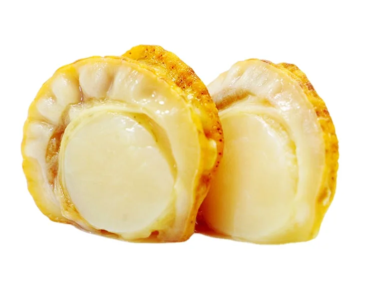 Unique design hot sale spicy scallop snack variety favorite sea food snacks