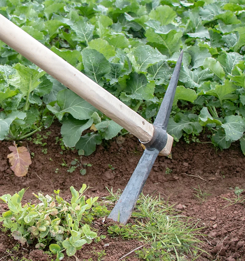 
Классический садовый инструмент для ухода за растениями, деревянная ручка, маленький кирпич из углеродистой стали для фермы 