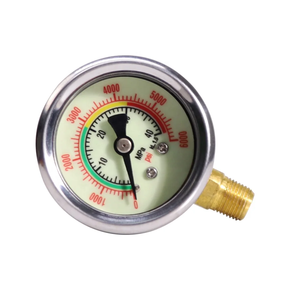 OEM ODM High Quality Durable Side 1/8NPT Thread 40Mpa 6000psi Noctilucent Luminous Pressure Gauge with Oil or without Oil