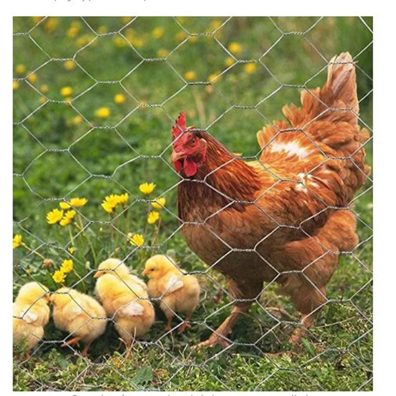 0.4mm 0.7mm Reinforcing Heavy Duty 1 Inch Galvanized Mesh For Cage Bird Rabbit Chicken Monkey Chicken Mesh