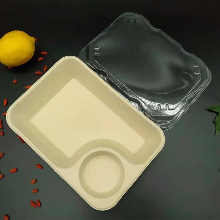 Food Grade Biodegradable Water Proof Sugarcane Bagasse Food Takeaway Container