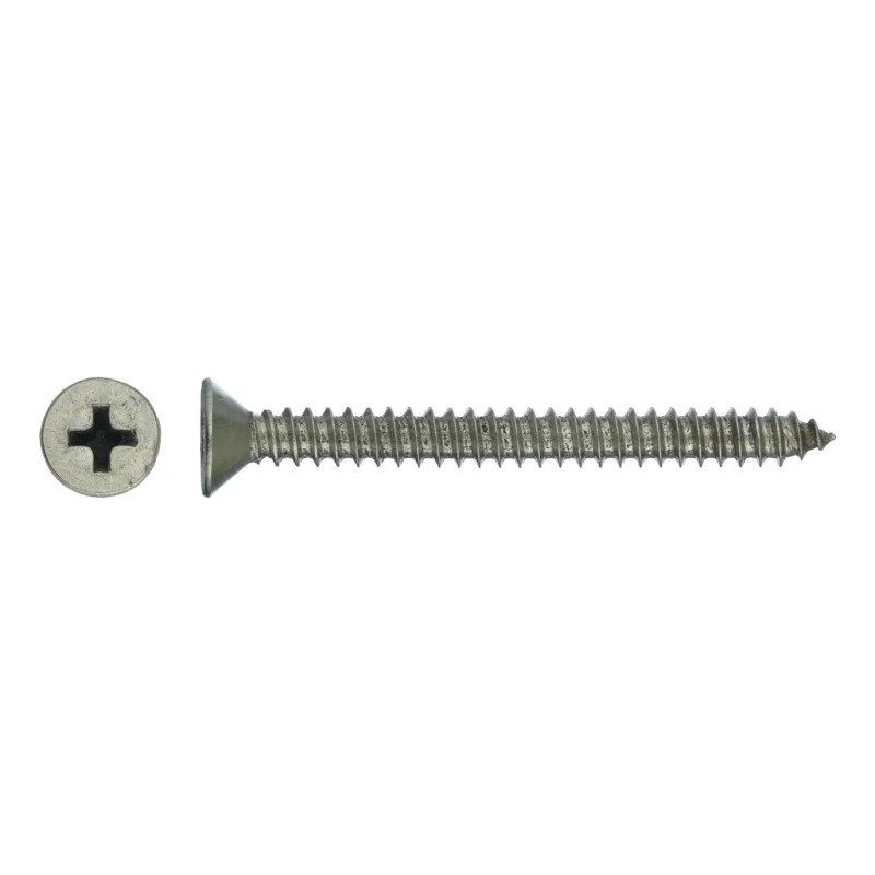 Haiyan Stainless Steel Cross Slotted Thread Forming Tapping Screws Self Assorted Kit