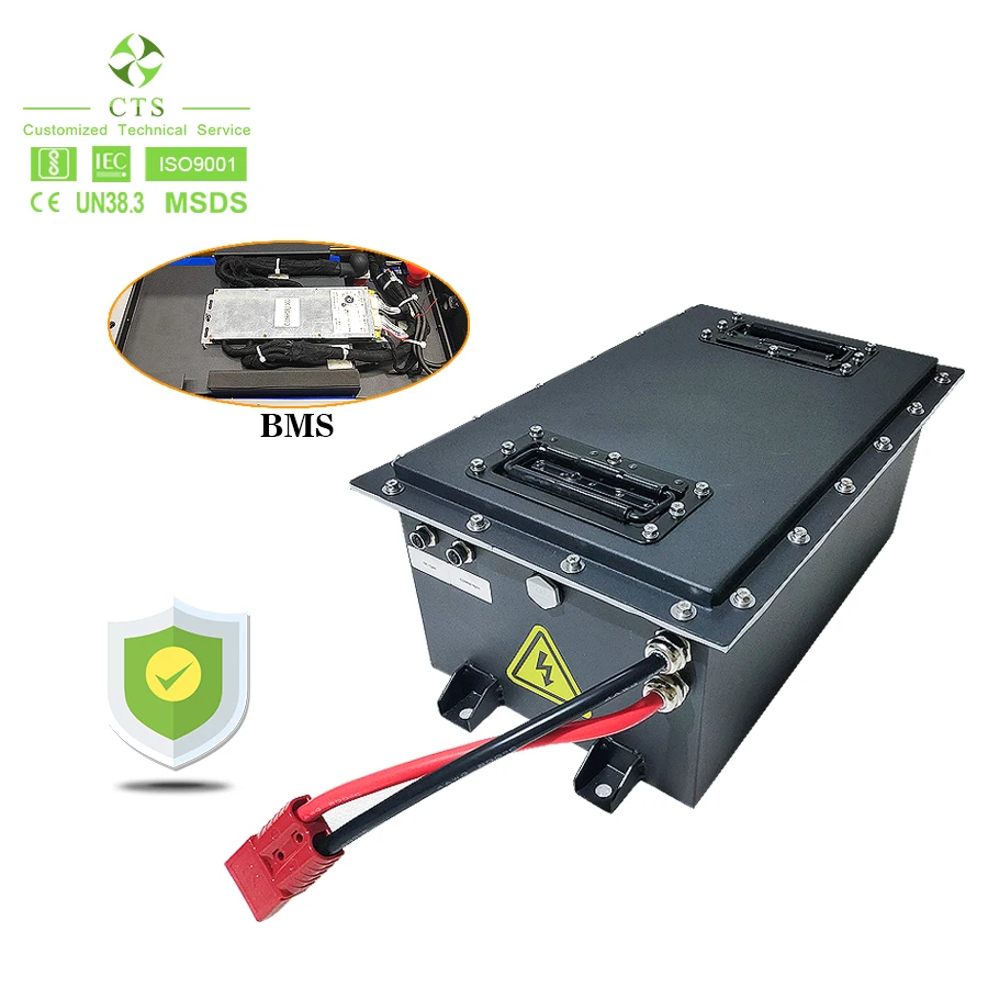 Литий-ионный аккумулятор CTS тележка для гольфа 48 В 60 80 А/ч 160 батарея lifepo4 гольф-кары с умными BMS
