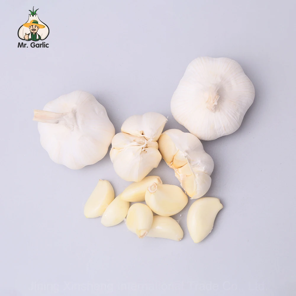 Low Price Wholesalenord Garlic Import From China Fresh Pure White Garlic