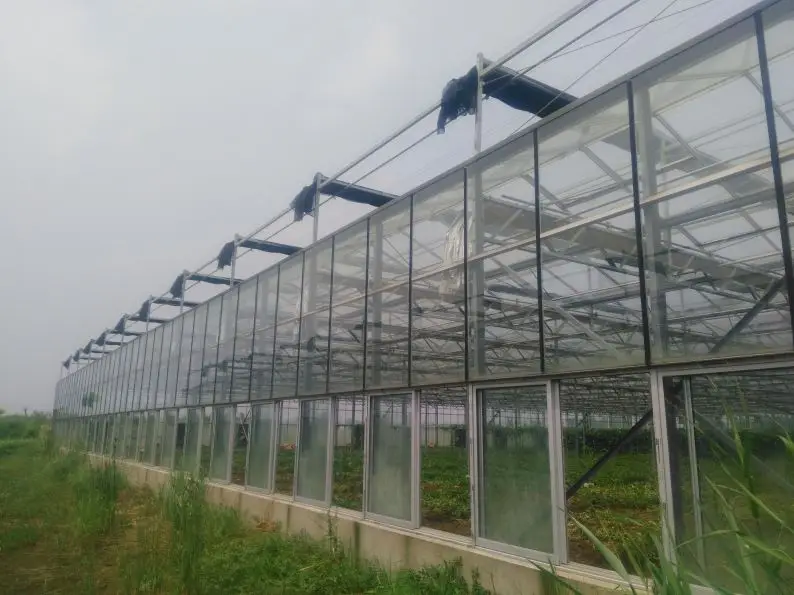 
Commercial glass greenhouse wit hydroponics and other equipments 