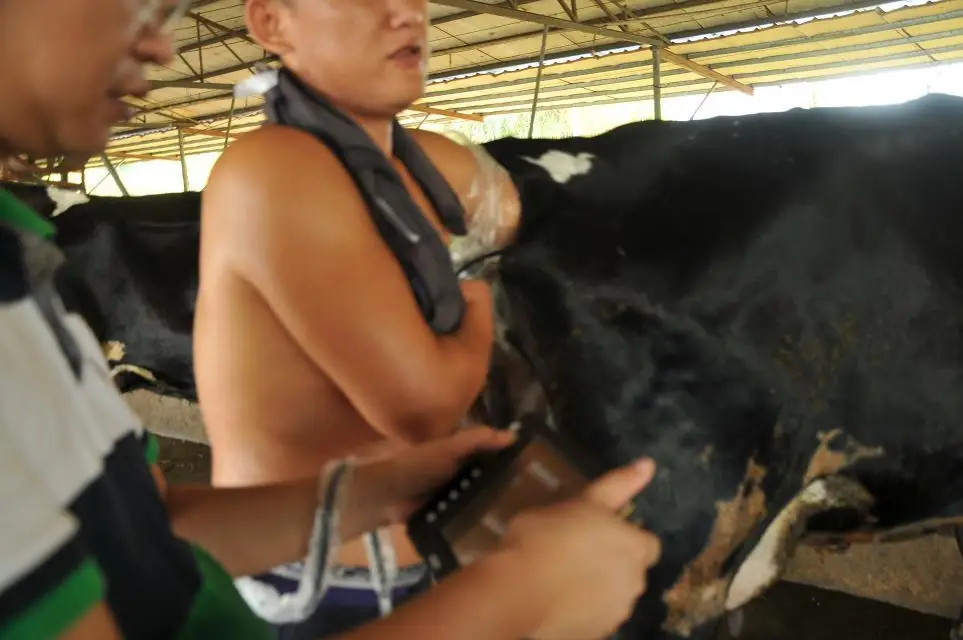 
KBW-V5 Palm Ultrasound Scanner(ultrasonicblack whiteImaging System) 