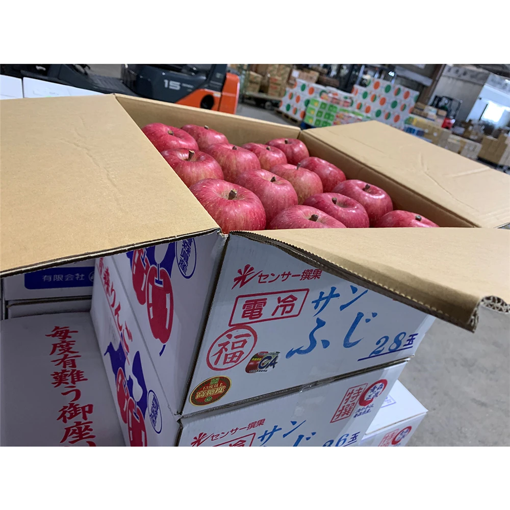 
Long best shelf life flesh tightly red fresh apples fuji apples 