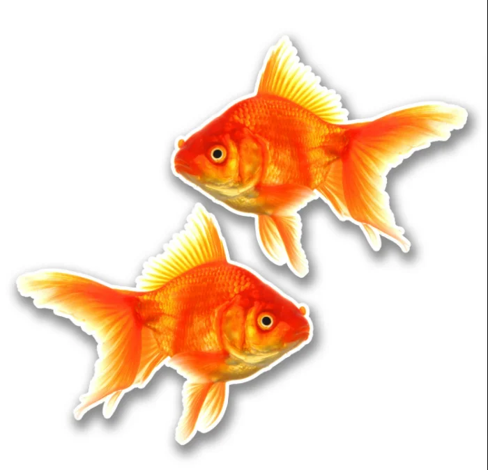 Индивидуальная печать наклеек, сертификат CE