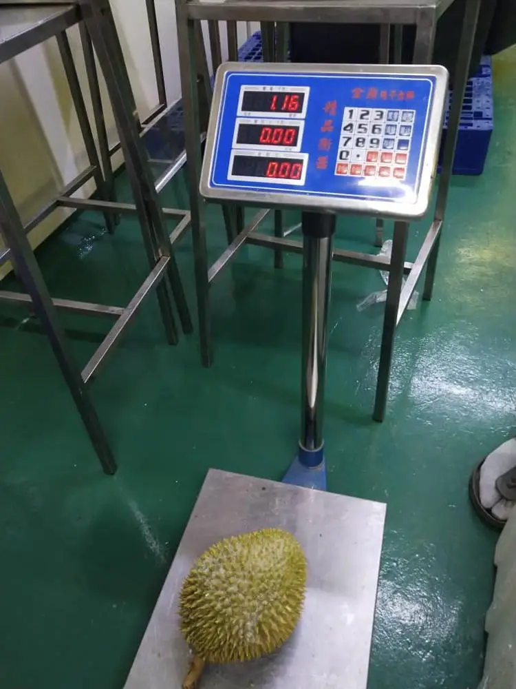 
Premium High Quality Fresh Nitrogen Freezed Frozen Whole D24 Durian for Wholesale 