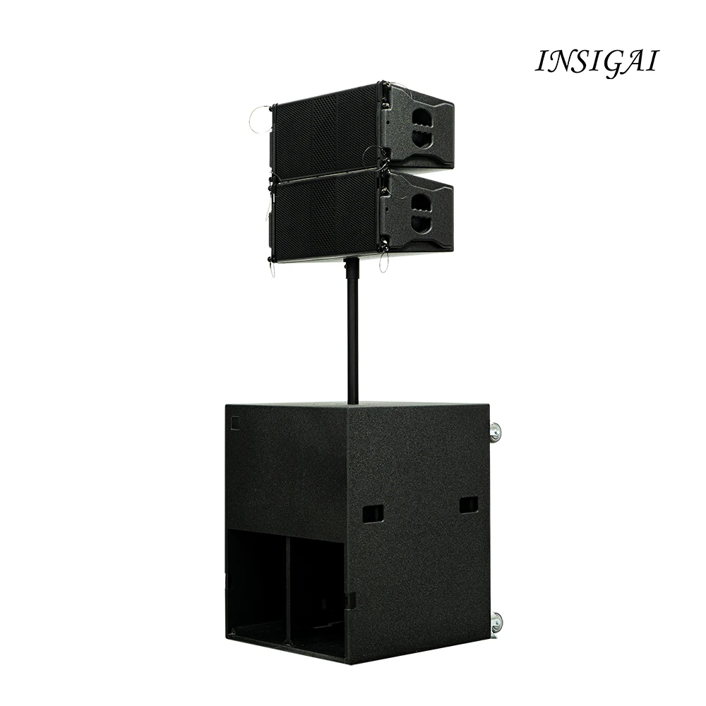 DTL110 Professional Stage Audio Sound System Waterproof Wood Shell Whole Set DSP Portable Case-fit Active Line Array Speakers