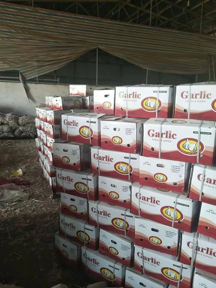 
2021 New Crop Normal White Garlic ship by 1x40fcl reefer container Garlic sizes 4.5cm, 5.0cm, 5.5cm, 6.0cm 