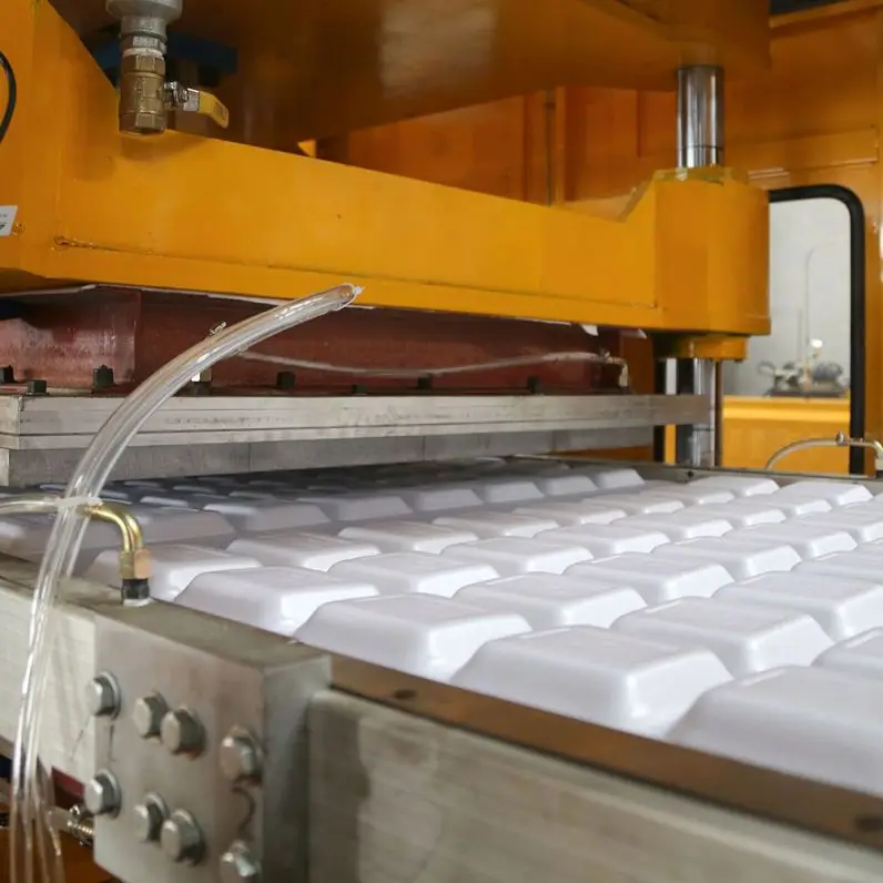 disposable Polystyrene PS plastic thermocol food box container plate making machine price in Pakistan