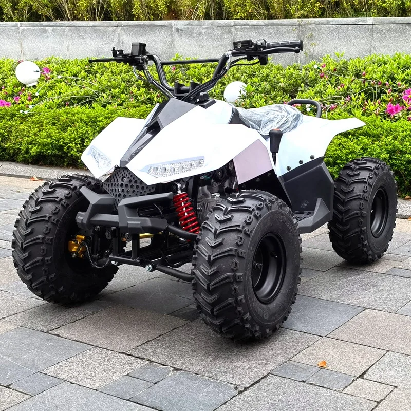 wholesale Fashion 110CC 125cc gasoline mini ATV buggy for kids