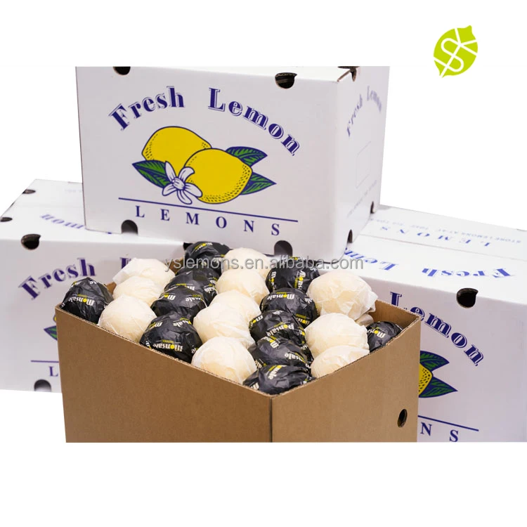 Montale Lemon Supplier Fresh Citrus Fruit Lemons