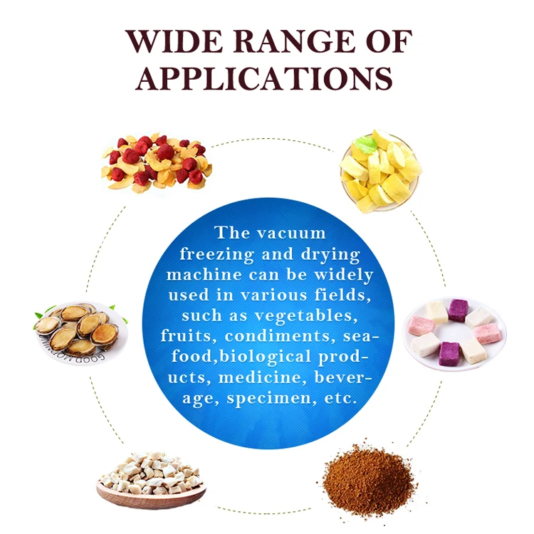 TCA Freeze drying machine sublimation condensation dryer vacuum freeze dryer for fruits vegetables