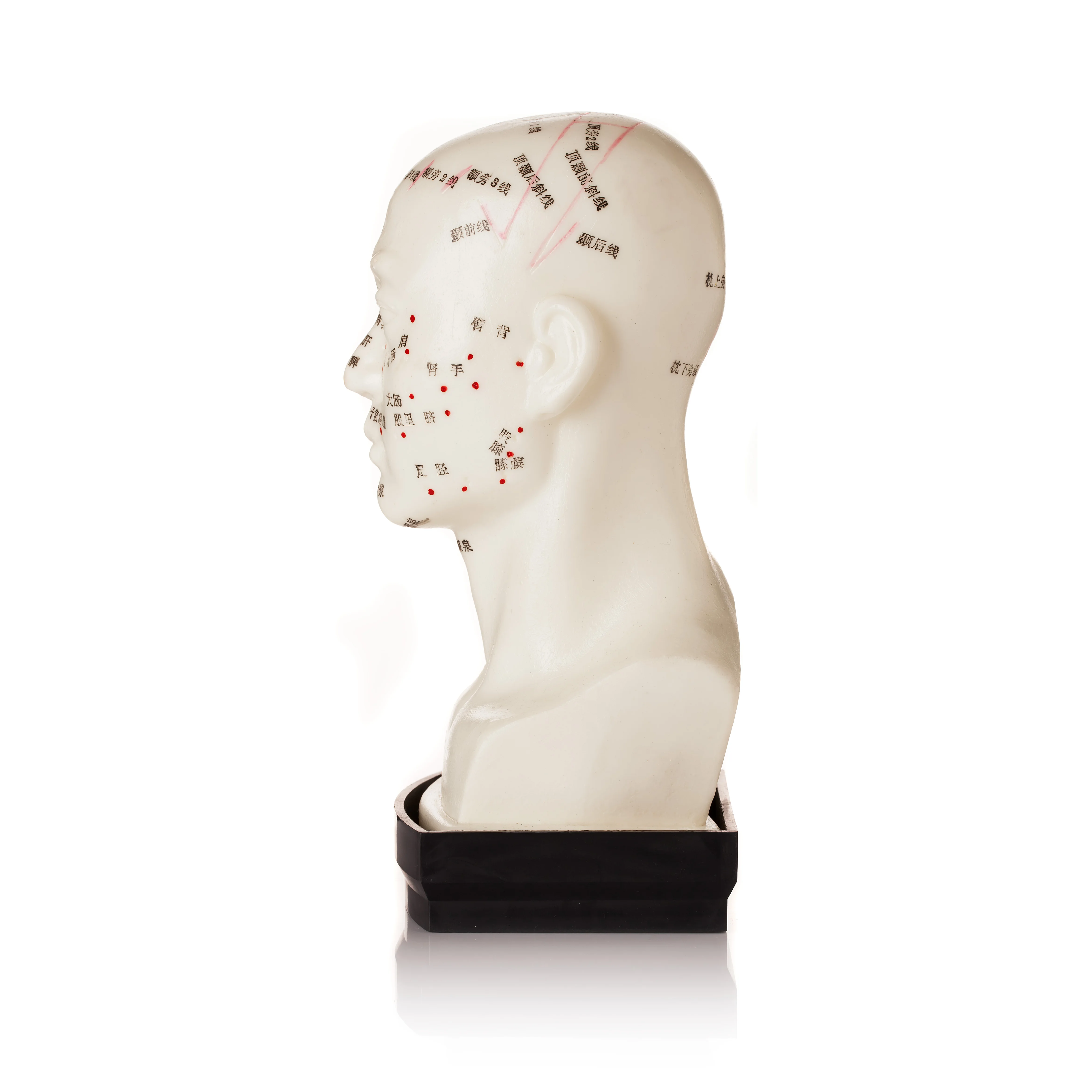Hwato Brand Head acupuncture for function model