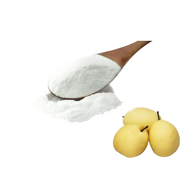 Best selling Free Sample Organic food grade 10:1 Snow Pear Powder Pear Powder Pyrus nivalis Powder for juice drink